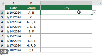 A screenshot of the animated demo showing multiple selections in an Excel drop-down list.
